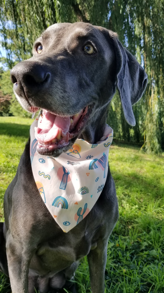 Desert Dreams Dog Bandana